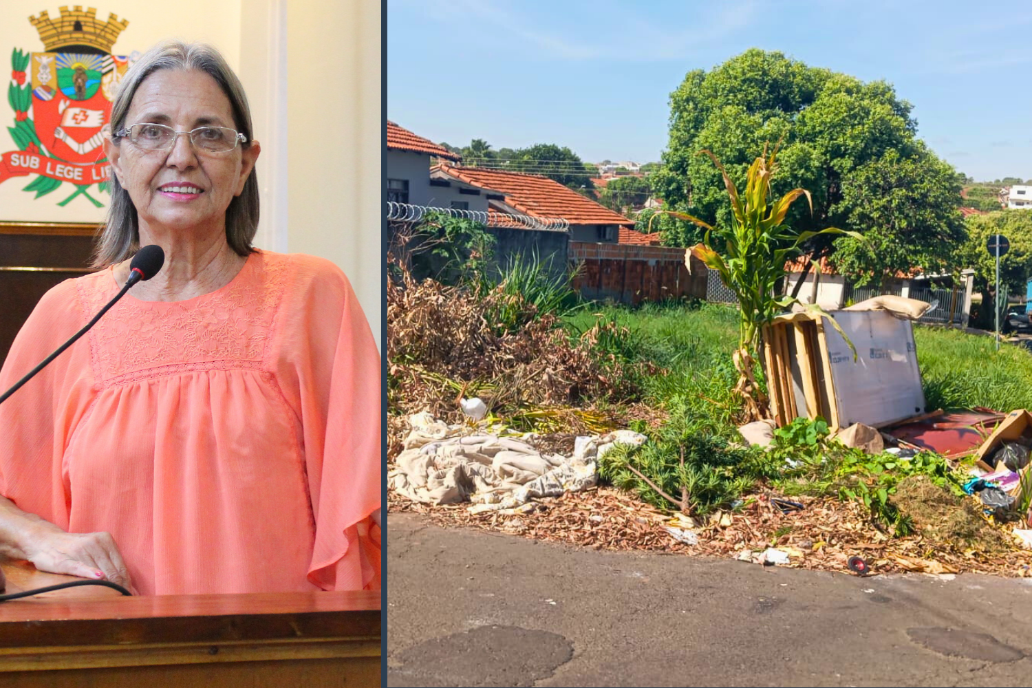 Vereadora Sônia Canato solicita ao Executivo Municipal limpeza no cruzamento de vias na Vila IV Centenário