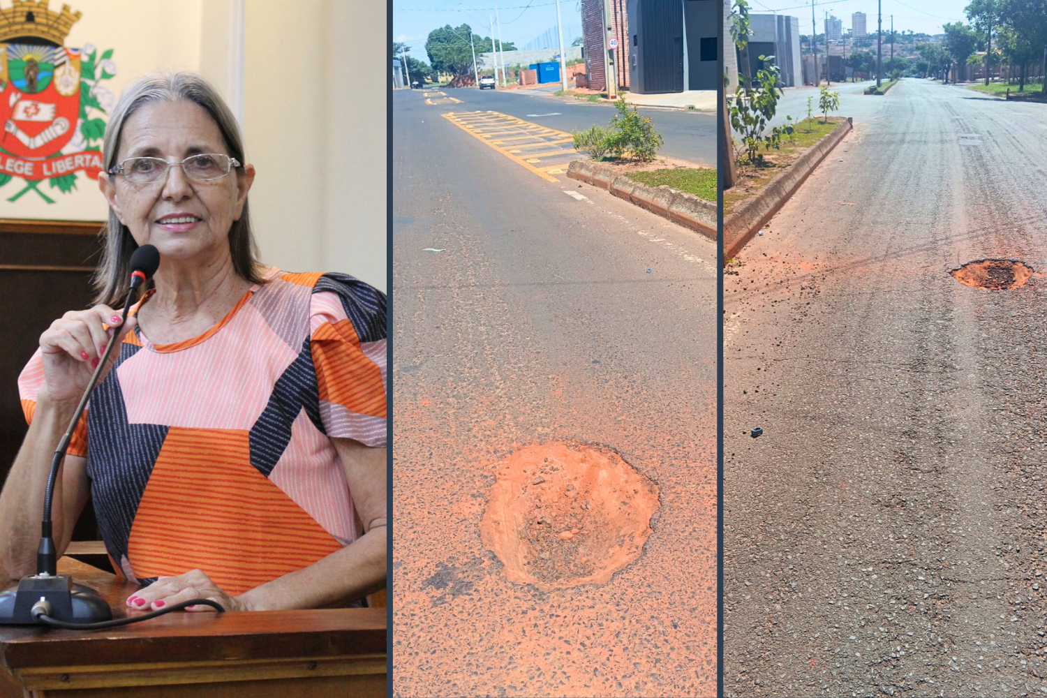 Vereadora Sônia Canato solicita ao Executivo Municipal serviço de tapa-buracos na Avenida Dr. Jorge Ismael de Biasi 