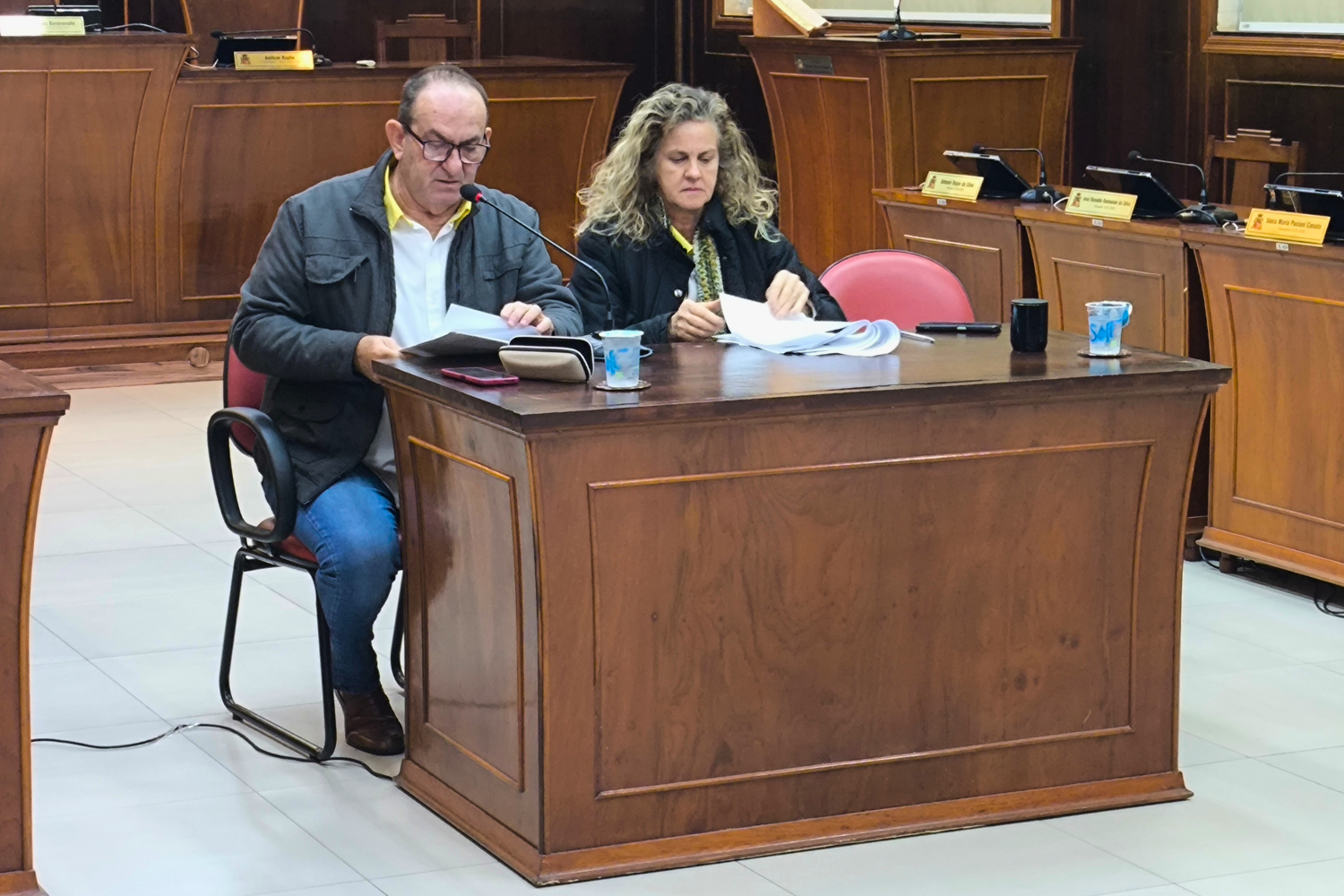 Secretaria Municipal de Saúde realizou Audiência Pública na Câmara sobre a prestação de contas do 1º quadrimestre de 2025 