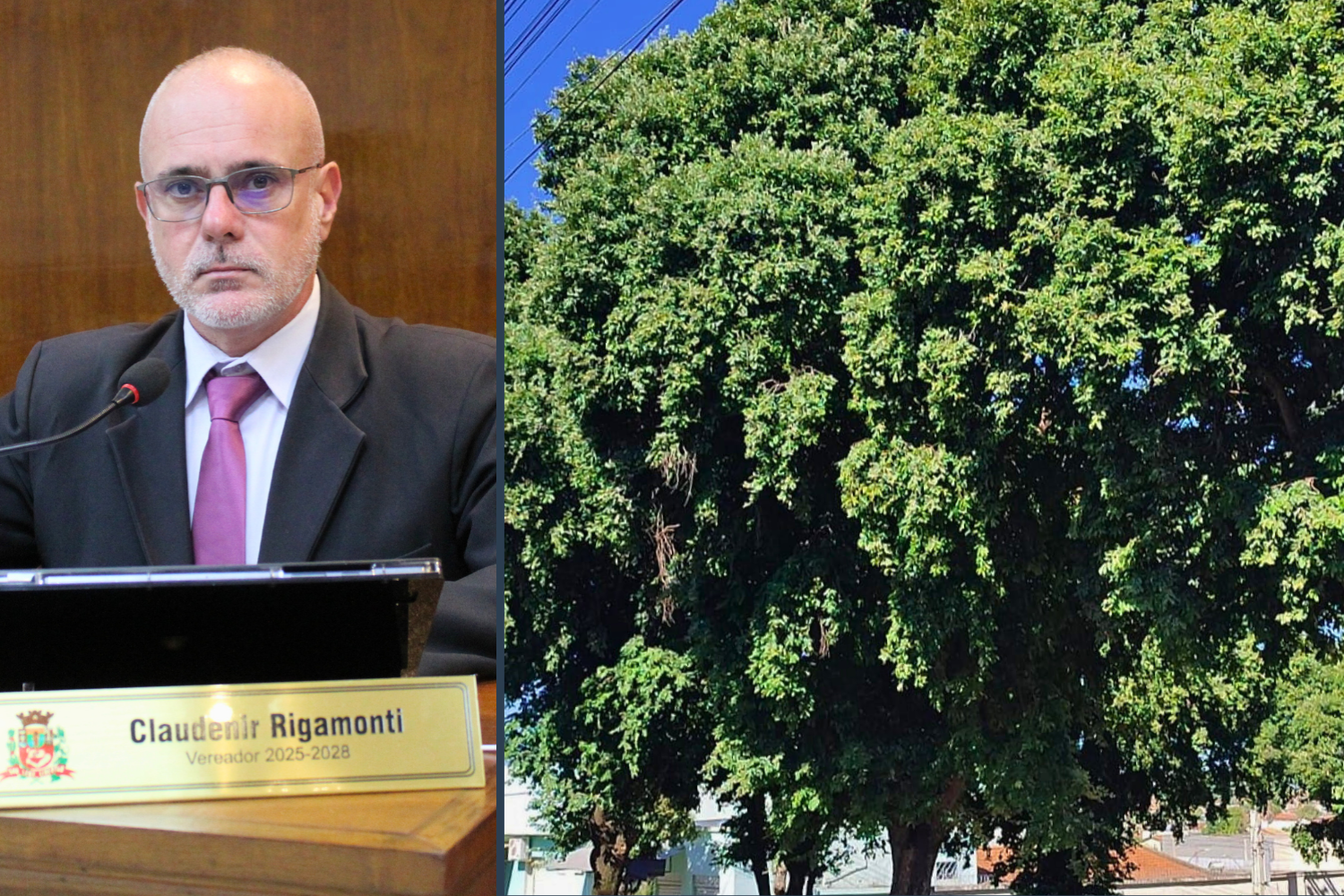 Vereador Kall Rigamonti solicita ao Executivo Municipal poda das árvores da Praça Higino Arestides Botura no Jardim Popular
