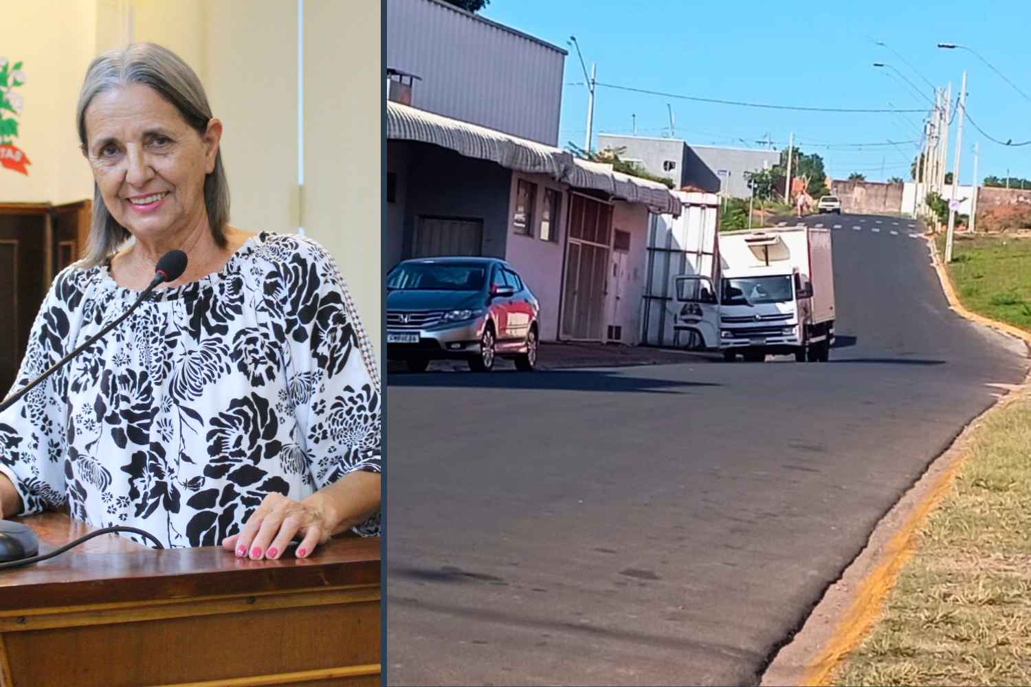 Vereadora Sônia Canato solicita ao Executivo Municipal instalação de redutores de velocidade na Rua Capitão Cândido Rodrigues de Mendonça no Residencial Guerino Ribeiro Pardinha
