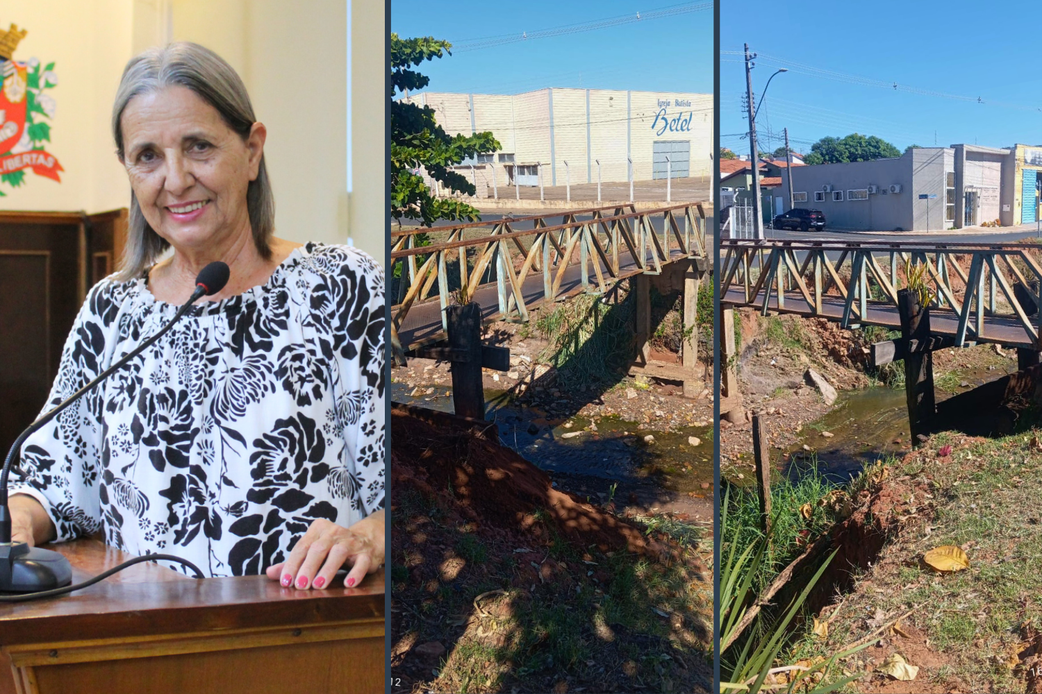 Vereadora Sônia Canato solicita ao Executivo Municipal manutenção da passarela na Av. José Willibaldo de Freitas