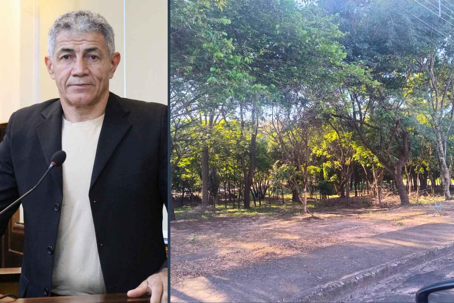Vereador Carlinhos do Cota solicita ao Executivo Municipal instalação de bancos, academia ao ar livre e pista de caminhada no entorno do Parque Botânico "Antônio José de Andrade" no Jardim Europa