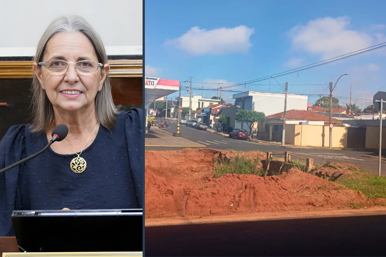 Vereadora Sônia Canato solicita ao Executivo Municipal redutor de velocidade em trecho da Rua Campos Sales ou na Avenida José Willibaldo de Freitas