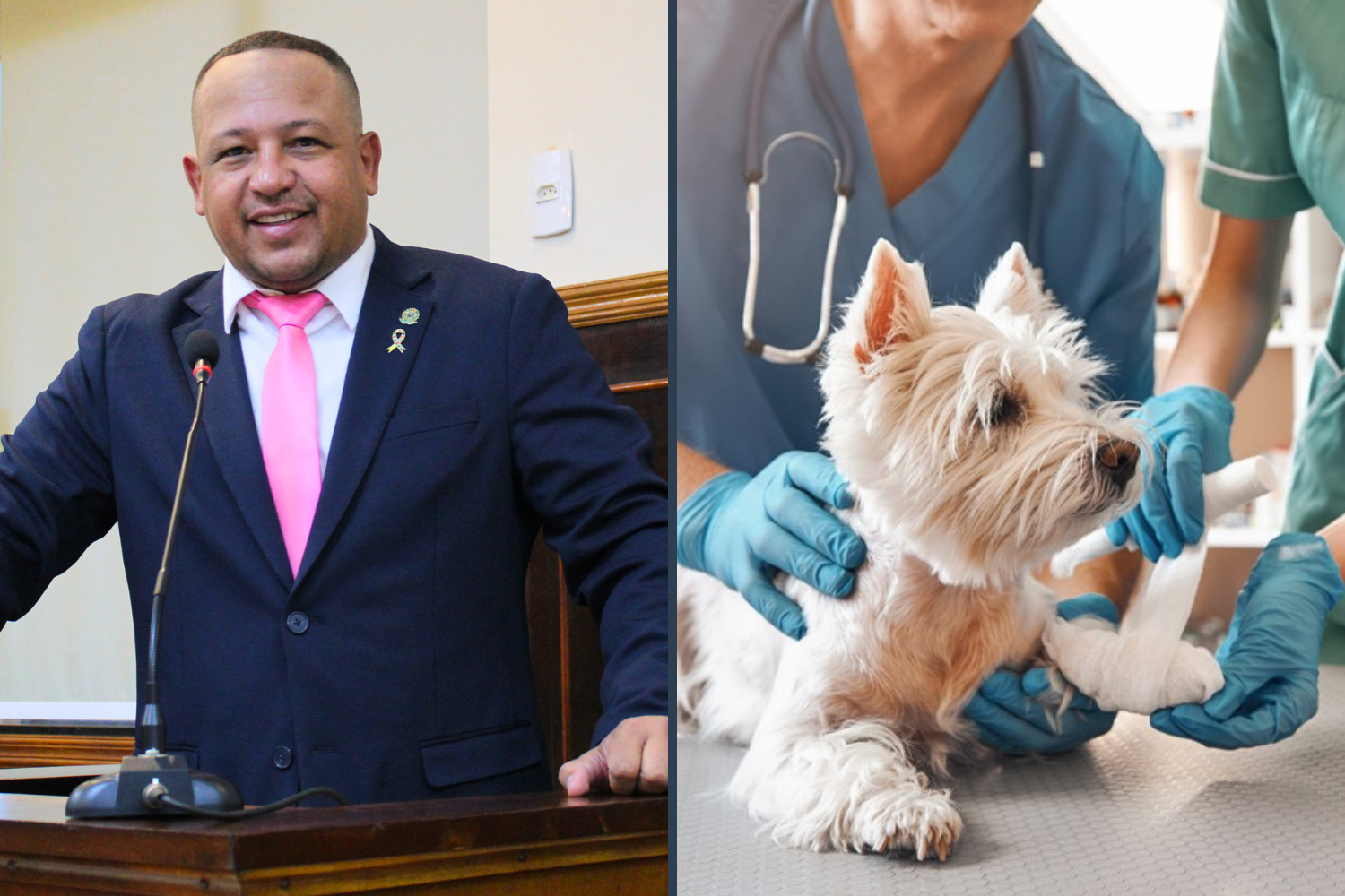 Vereador Carlos Henrique BGO solicita ao Executivo Municipal a implantação de Ambulatório Veterinário Público 